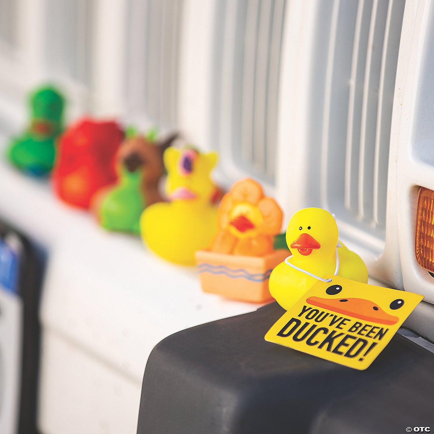 Rubber Duck