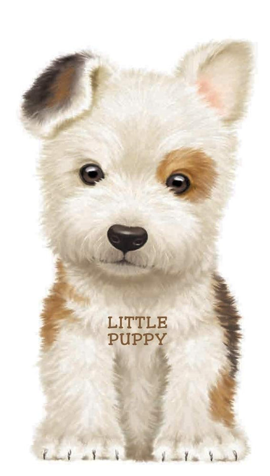 Little Puppy Look at Me Board Book