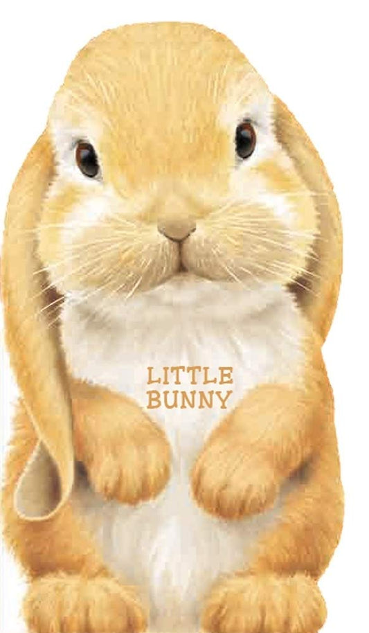 Little Bunny Look at Me Board Book
