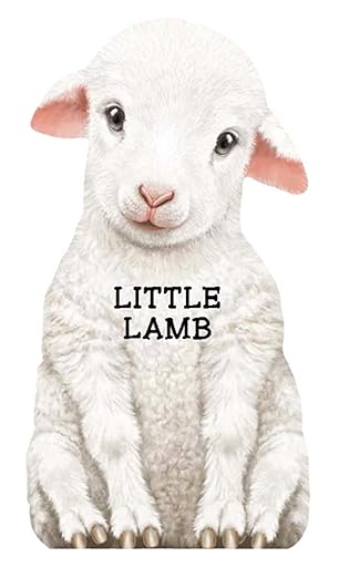 Little Lamb Look at Me Board Book