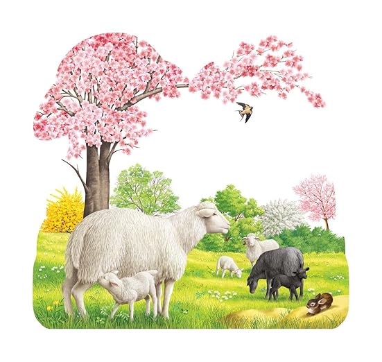Little Lamb Look at Me Board Book