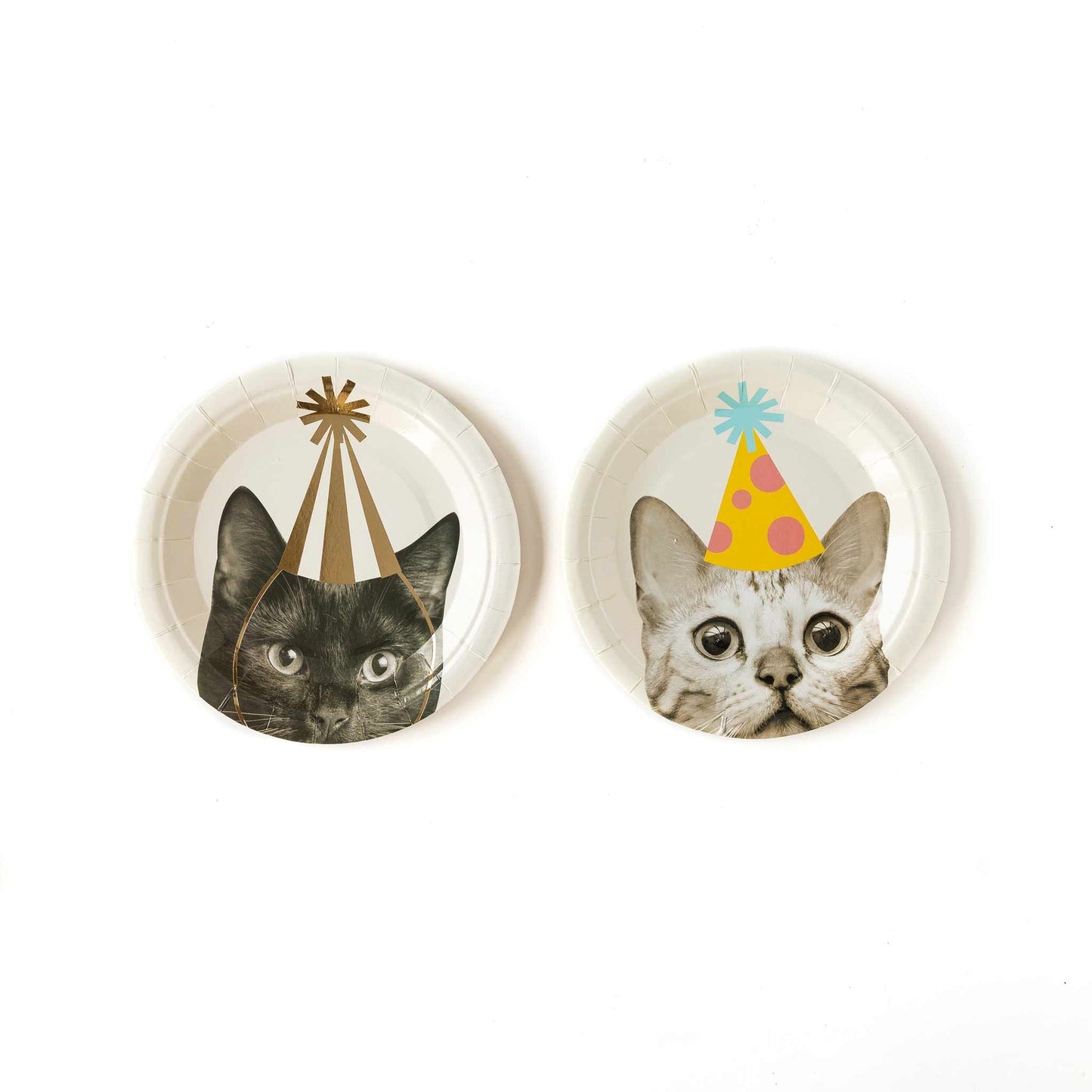 Party Cat Plates